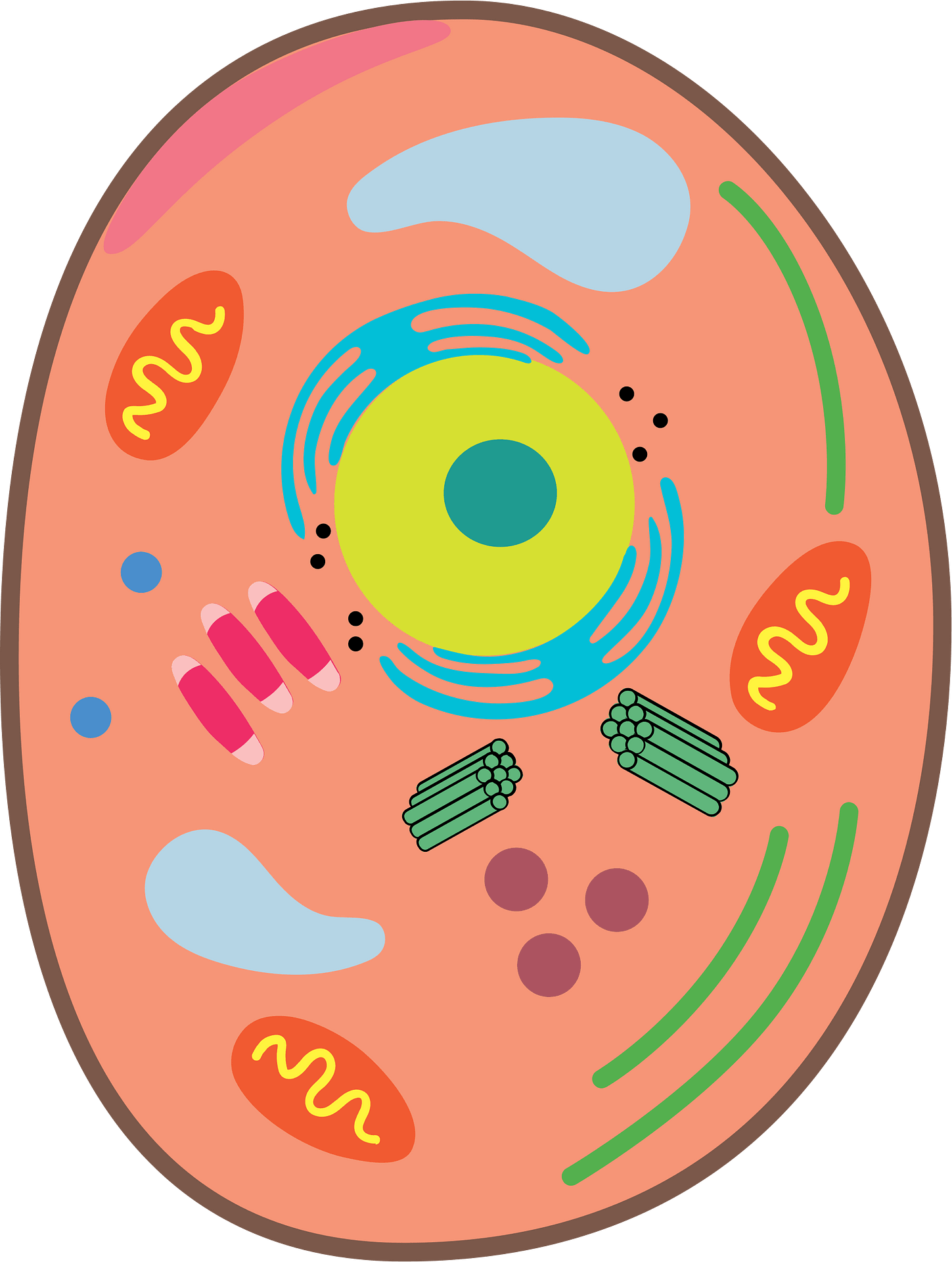 Free Cell Clipart Download Free Cell Clipart Png Images Free ClipArts Free Cell Clipart Download Free Cell Clipart Png Images Free ClipArts